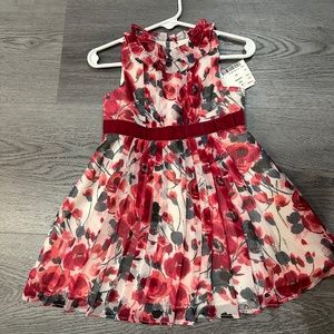 Janie and Jack Poppy dress  NWT